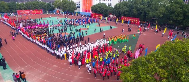 如何通过体育组织形式符号图打造品牌识别度?